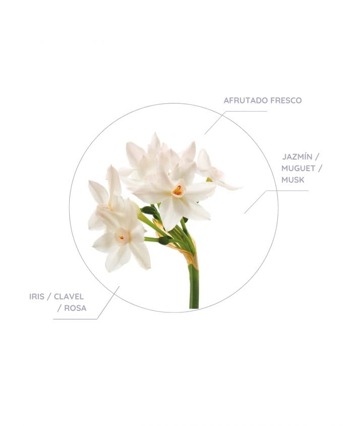 Mikado Don Algodón Ambients 60 ml – Pack 2 – Dama de Noche