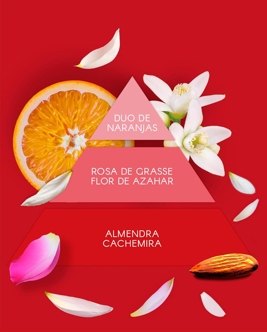 El set Red Party Don Algodón Mujer Mini incluye la fragancia Red Party de 30 ml, un brillo labial rojo 3D, un delineador de ojos con purpurina y un neceser metalizado.